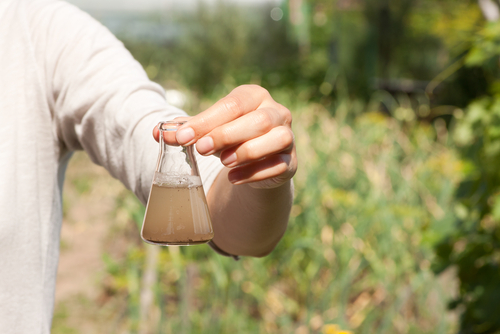 ¿Qué es la consultoría ambiental?