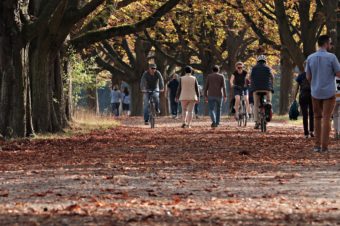 Adiós al verano y bienvenido el otoño