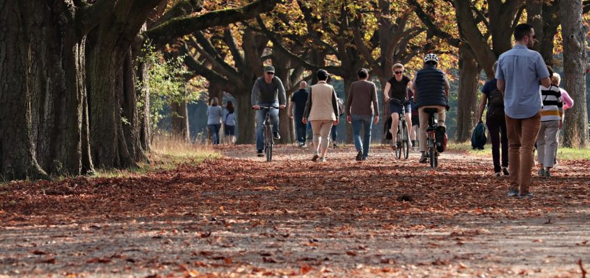 Adiós al verano y bienvenido el otoño