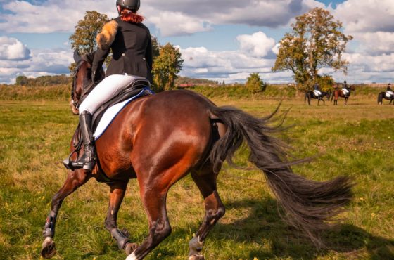 Practicar equitación: una posibilidad a nuestro alcance