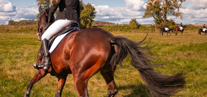 Practicar equitación: una posibilidad a nuestro alcance