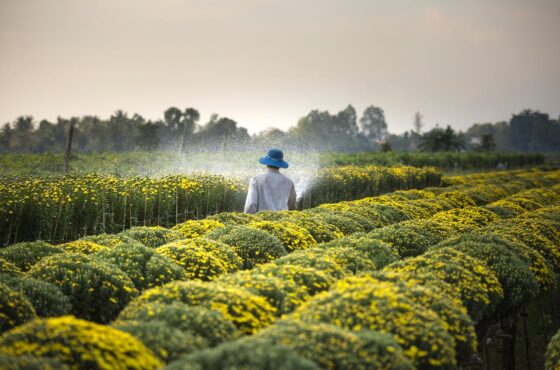 Guía completa sobre el cuaderno de explotación agrícola