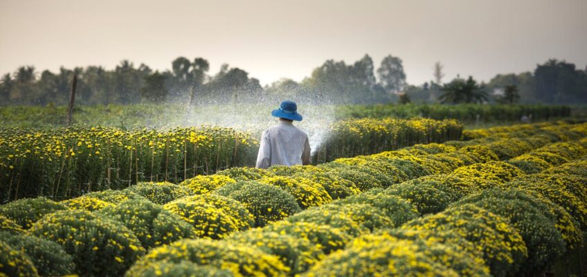 Guía completa sobre el cuaderno de explotación agrícola
