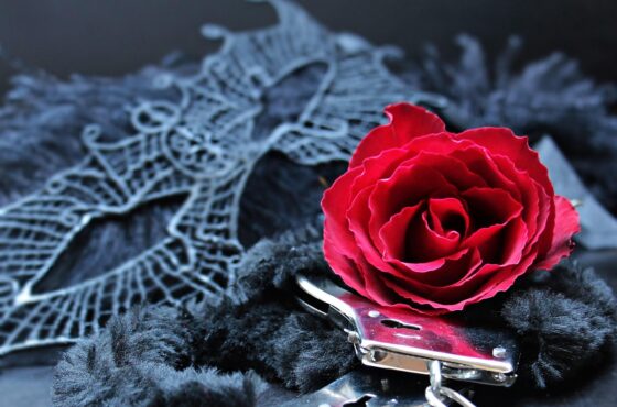 Explorando en una tienda online de juguetes sexuales