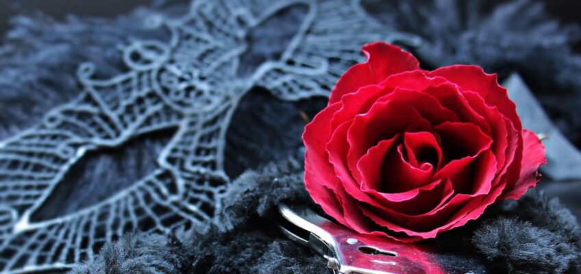 Explorando en una tienda online de juguetes sexuales