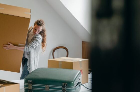 Servicios profesionales de confianza con portes Santa Pola