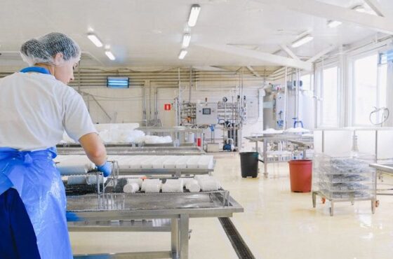 Proceso y alcance de una consultoría de calidad alimentaria