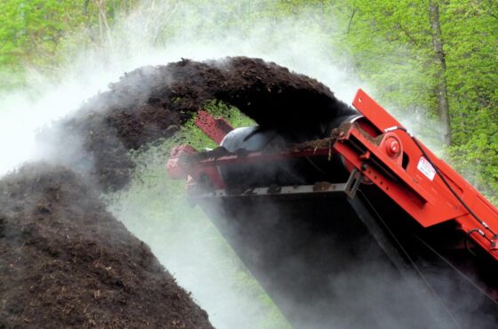 Cómo usar los abonos para cannabis de forma natural